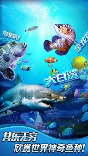 全民钓鱼2游戏截图3